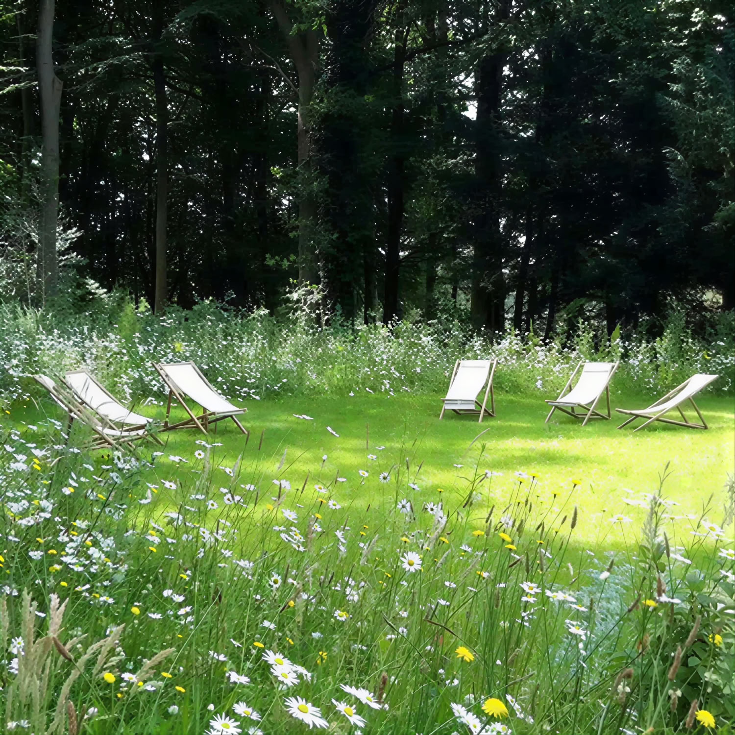 Beckley Retreats - The Netherlands