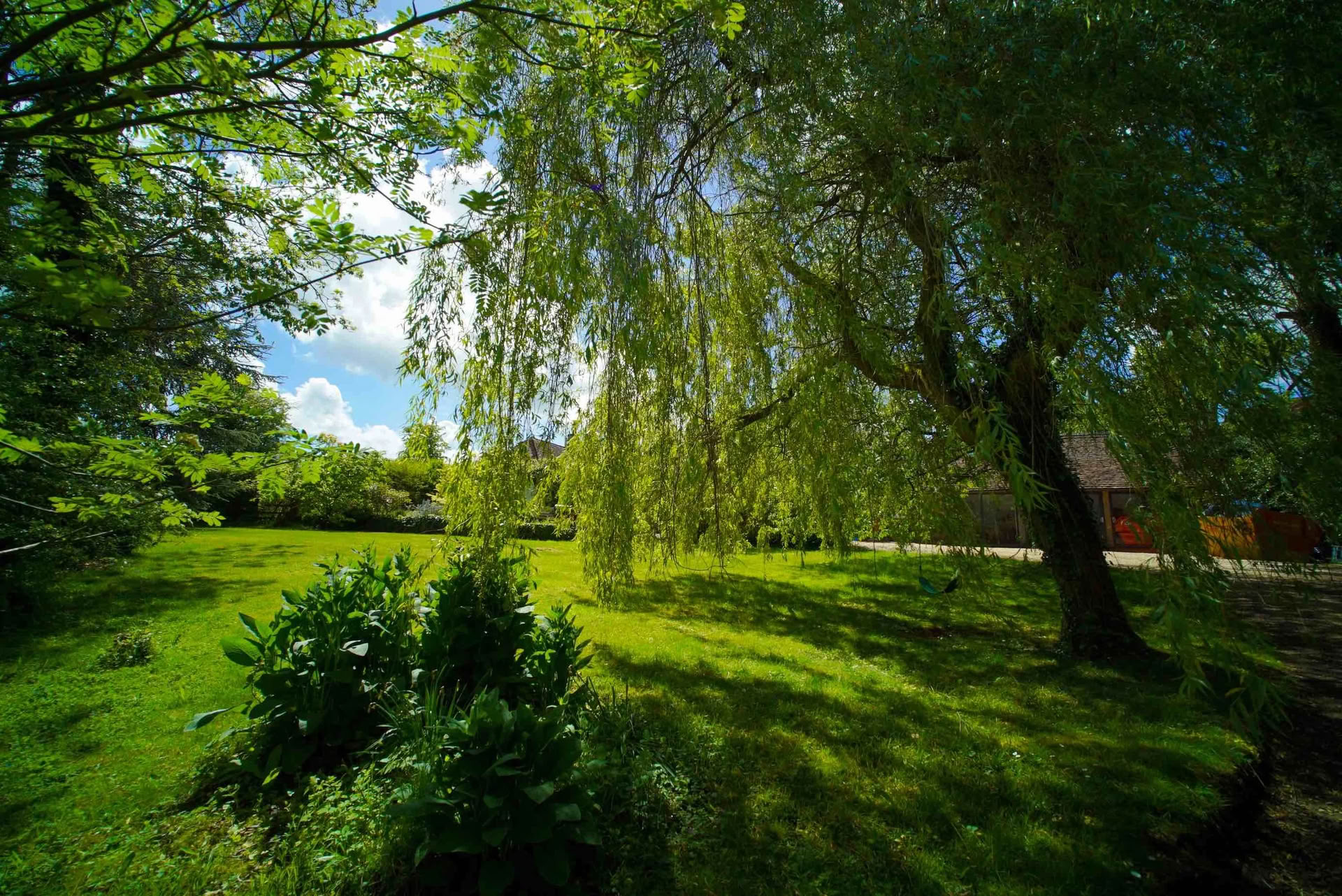 Juice Fasting and Yoga Retreat, Powys, Wales