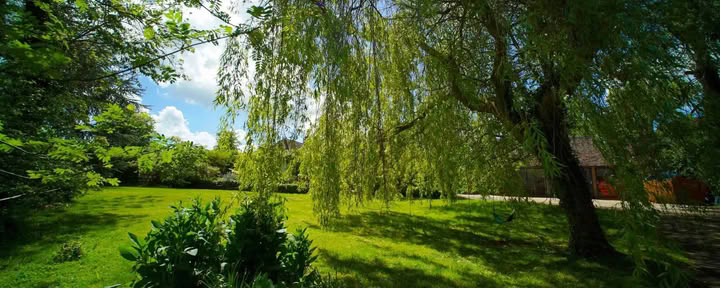Juice Fasting and Yoga Retreat, Powys, Wales
