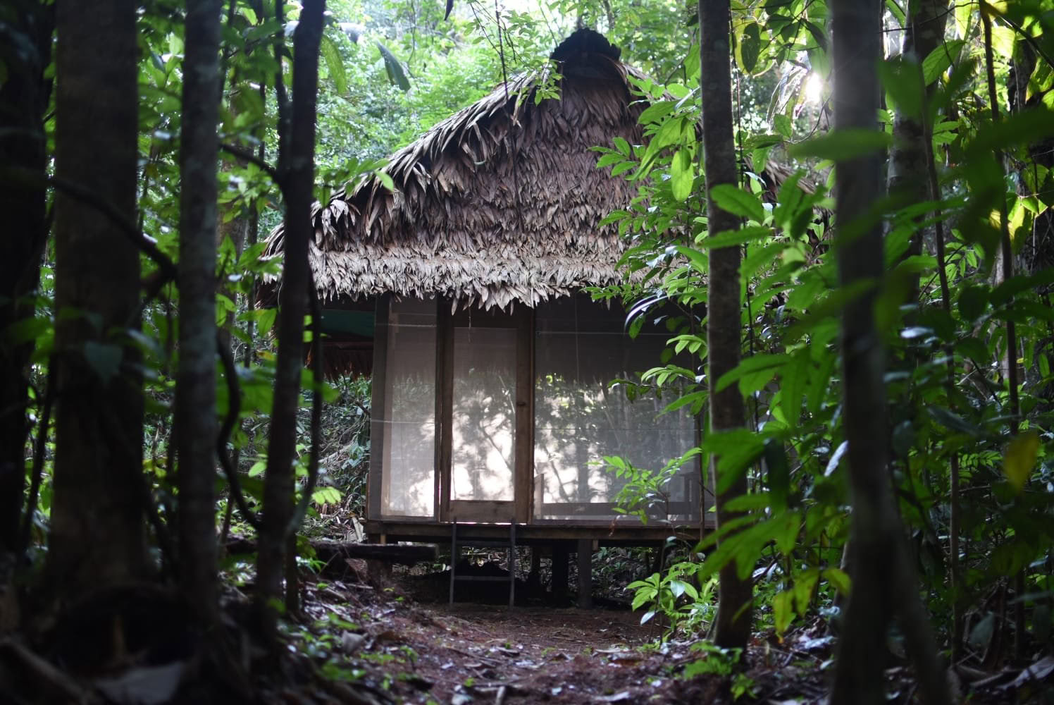 Double Ceremony, 6 day Retreat