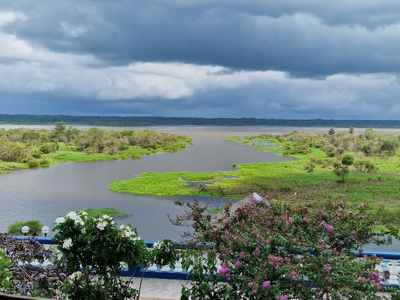 Ayahuasca Retreat in Peru
