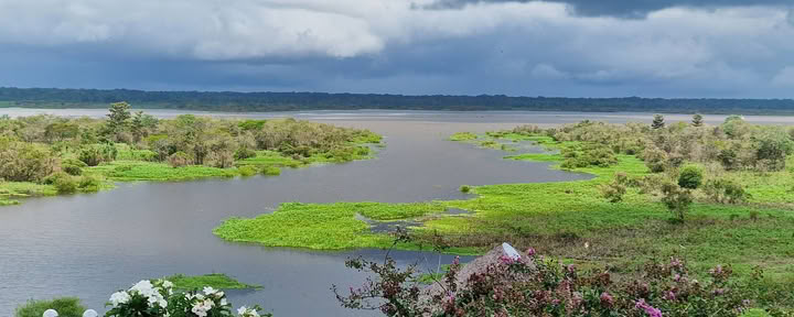 Ayahuasca Retreat in Peru