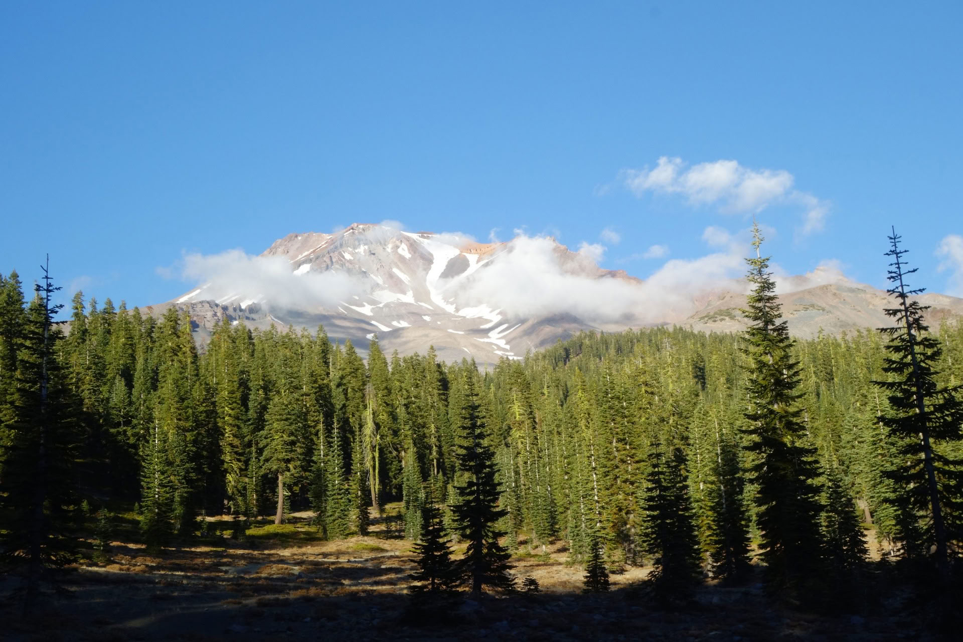 Summer Solstice Tour - Sacred Journey at Mount Shasta