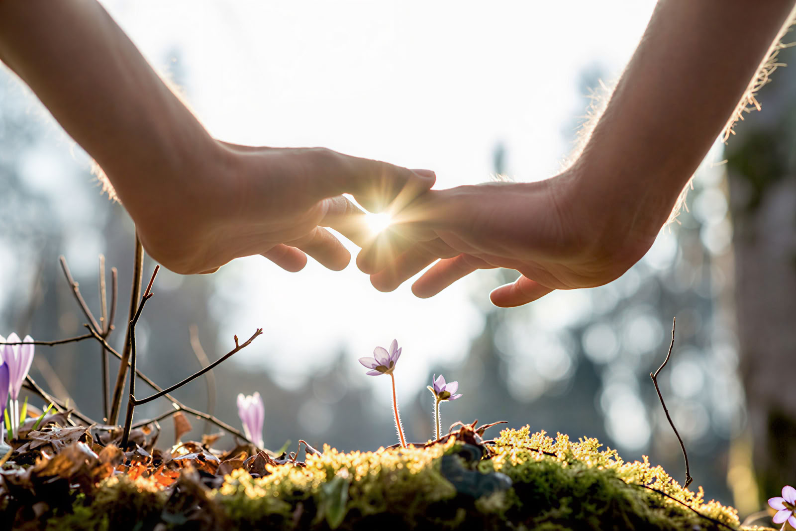 Panchakarma · 7–14 Days Ayurveda Retreats