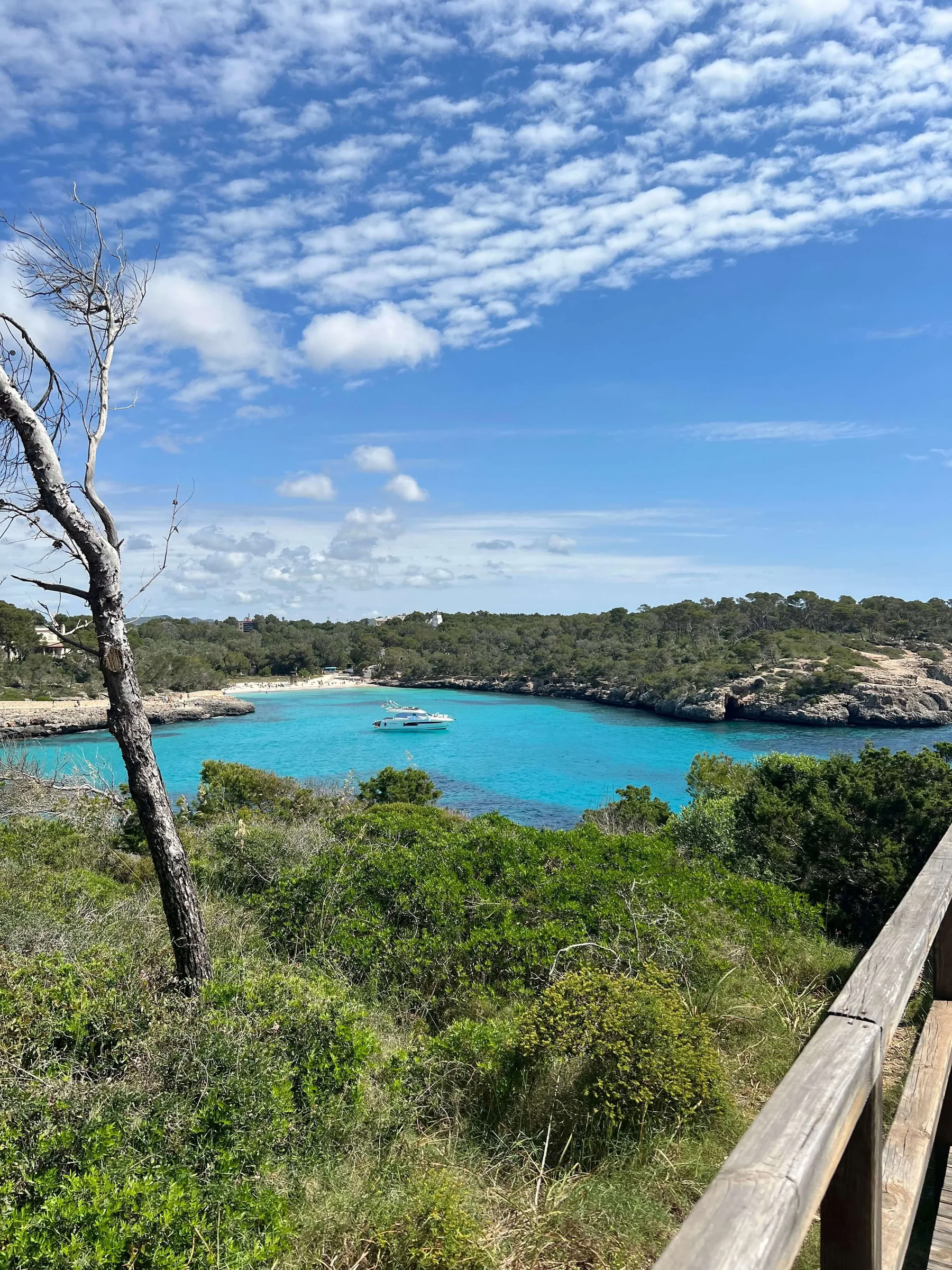 Luxurious Yoga Retreat in Cal Reiet – 1st-5th September 2026