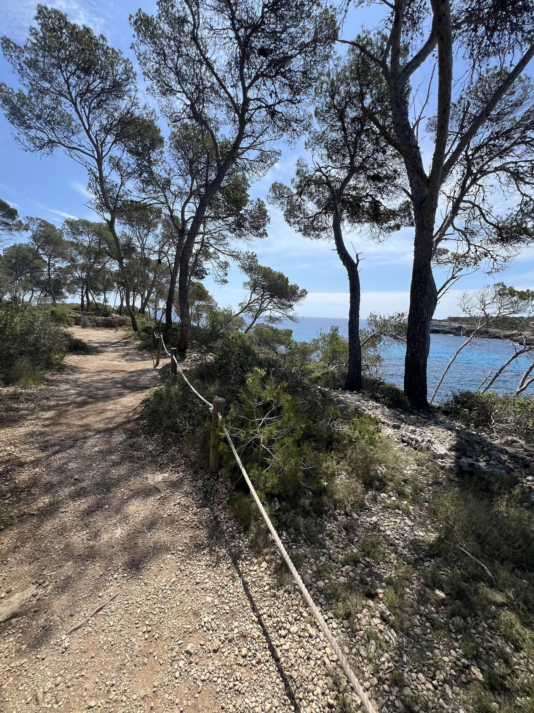 Luxurious Yoga Retreat in Cal Reiet – 1st-5th September 2026