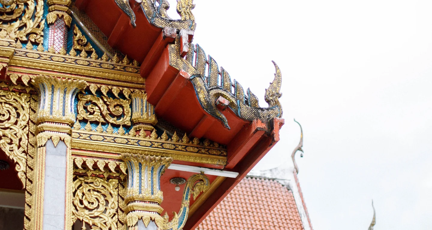 Yoga and Wellness Retreats With Day Trips – Period: 1st November 2026 - 22nd December 2026