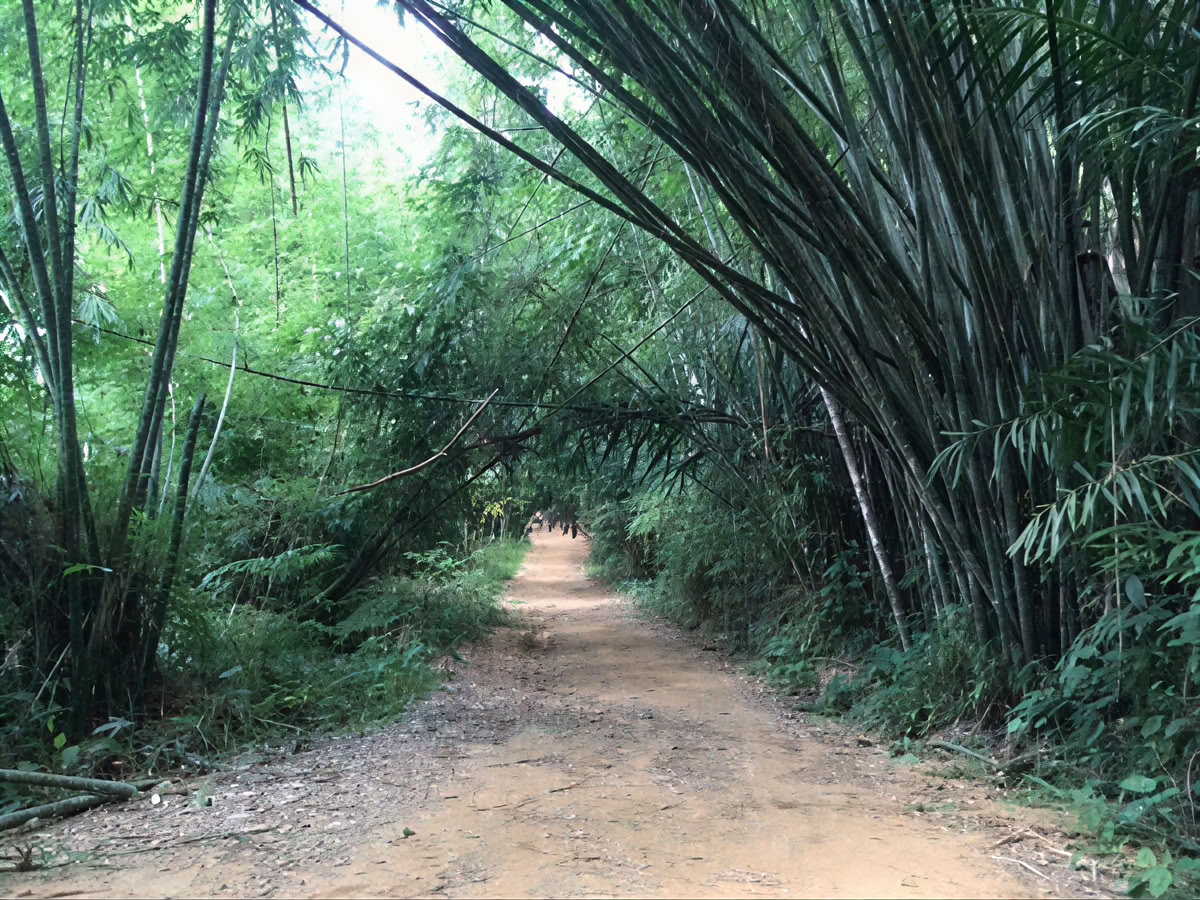5 Days – 4 Nights – Morning mist retreat – 7- 11 August
