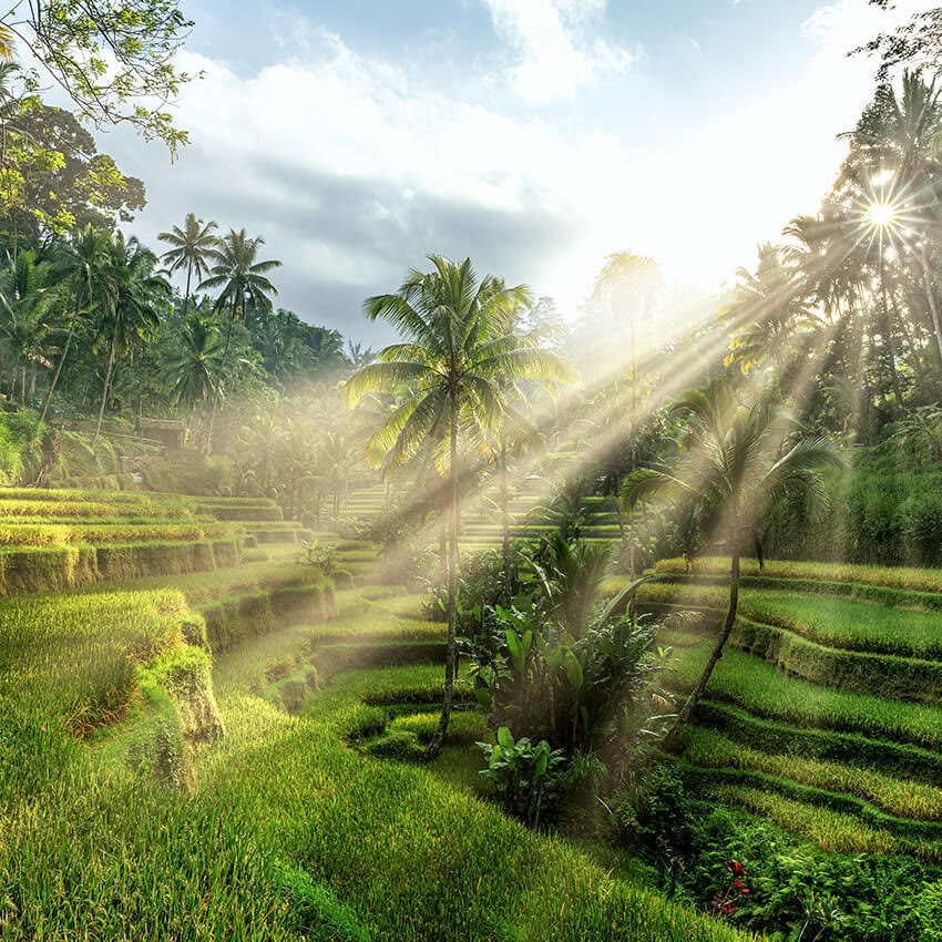 The Phoenix Retreat - Alchemy of Connection: Self - Source - Safety