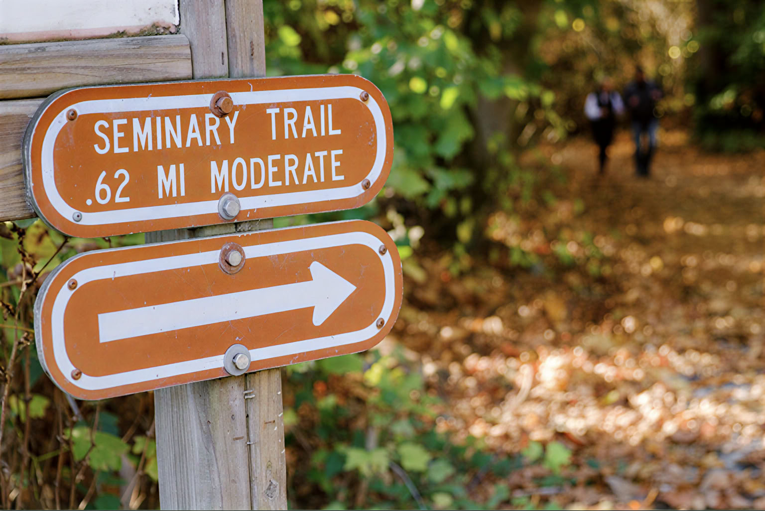 Self-Inquiry and Grace Retreat