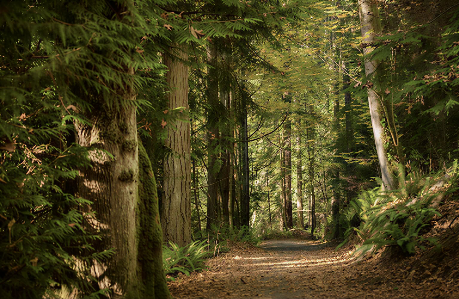 Self-Inquiry and Grace Retreat