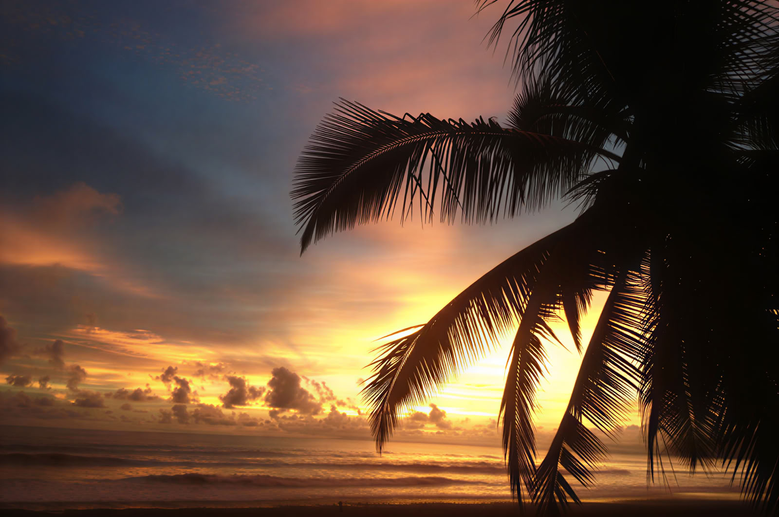 Women's Retreat For Your Whole Wellbeing