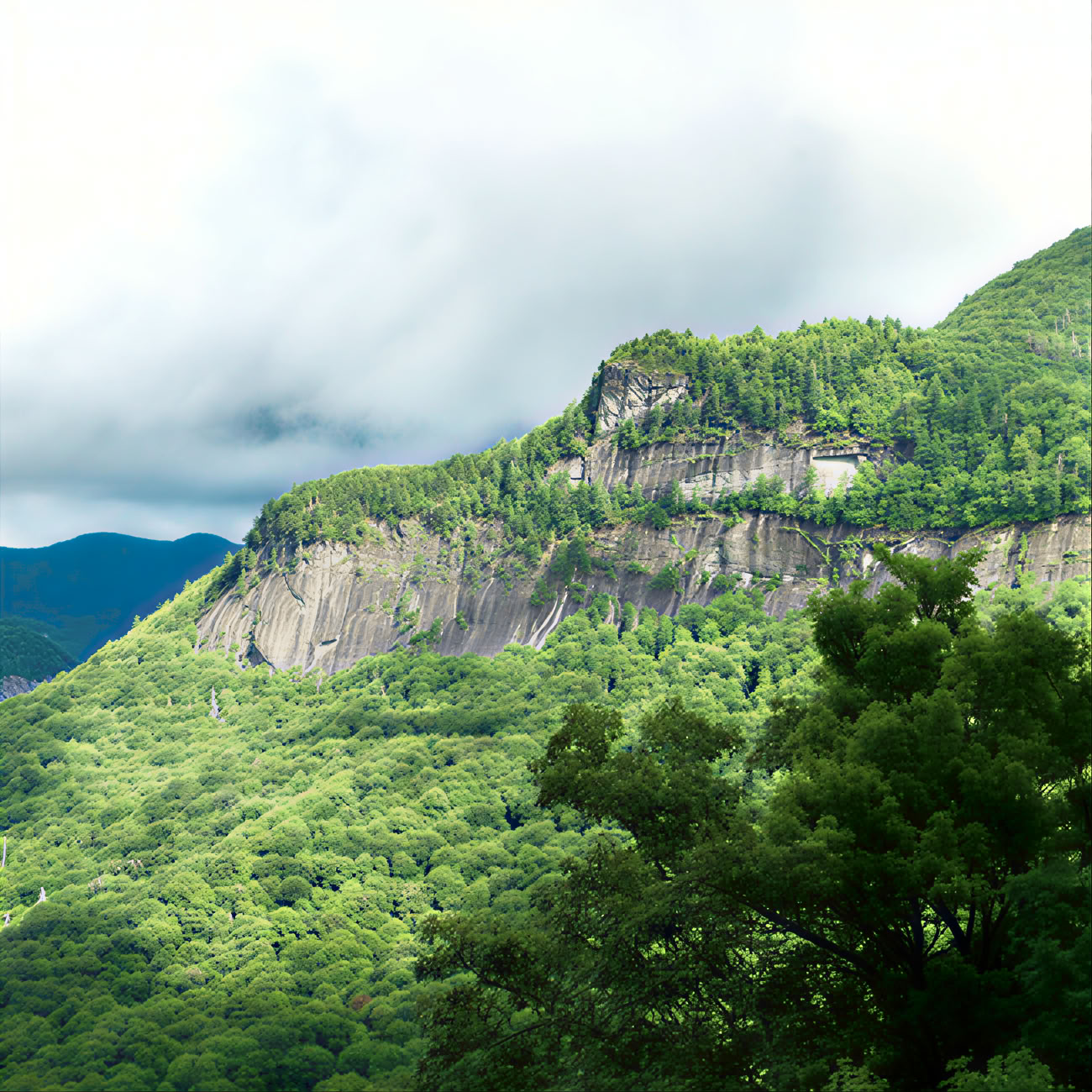 Women's Retreat For Your Whole Wellbeing