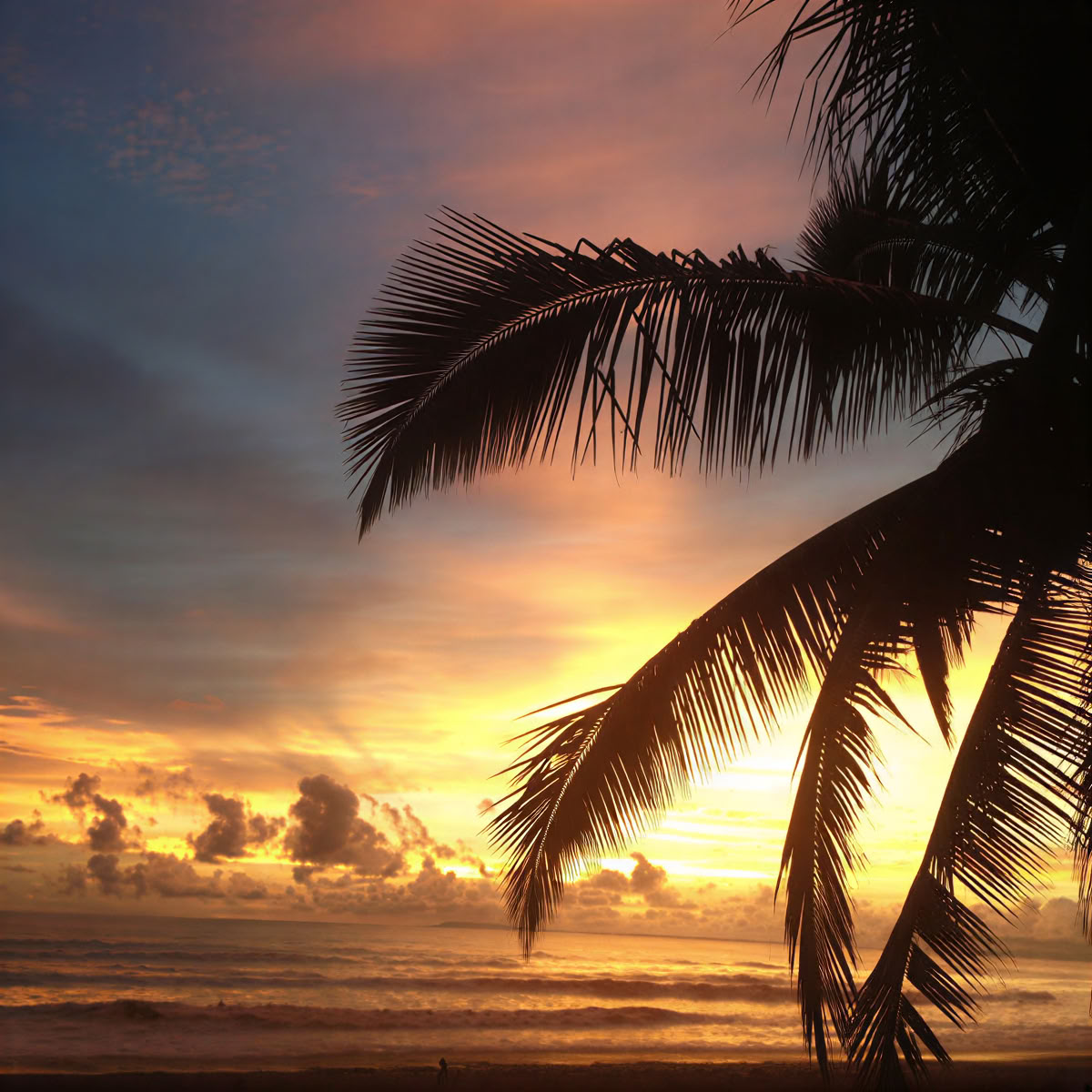 Jaco Beach Costa Rica Retreat