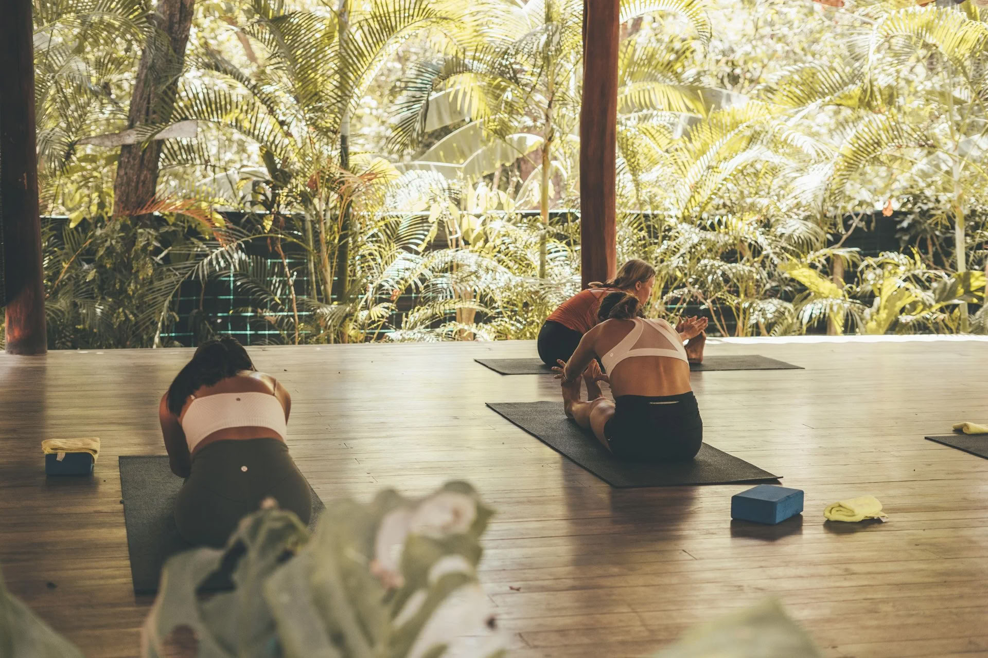 Daily Yoga