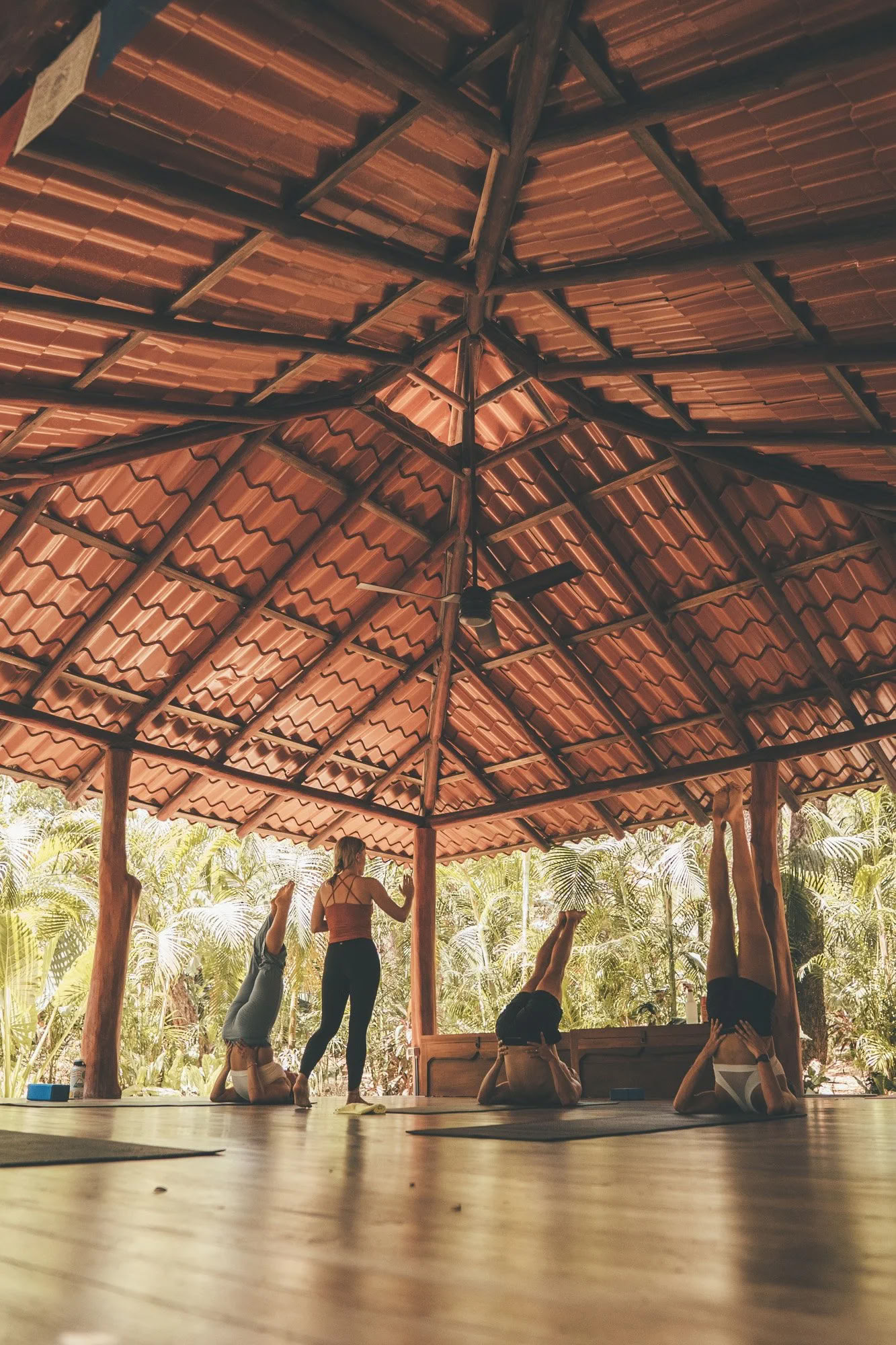 Daily Yoga