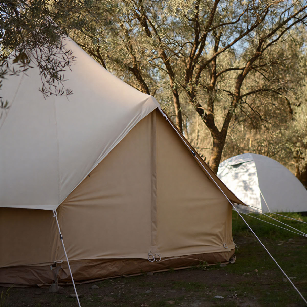 Yoga & Nature Immersion Retreat - Spain
