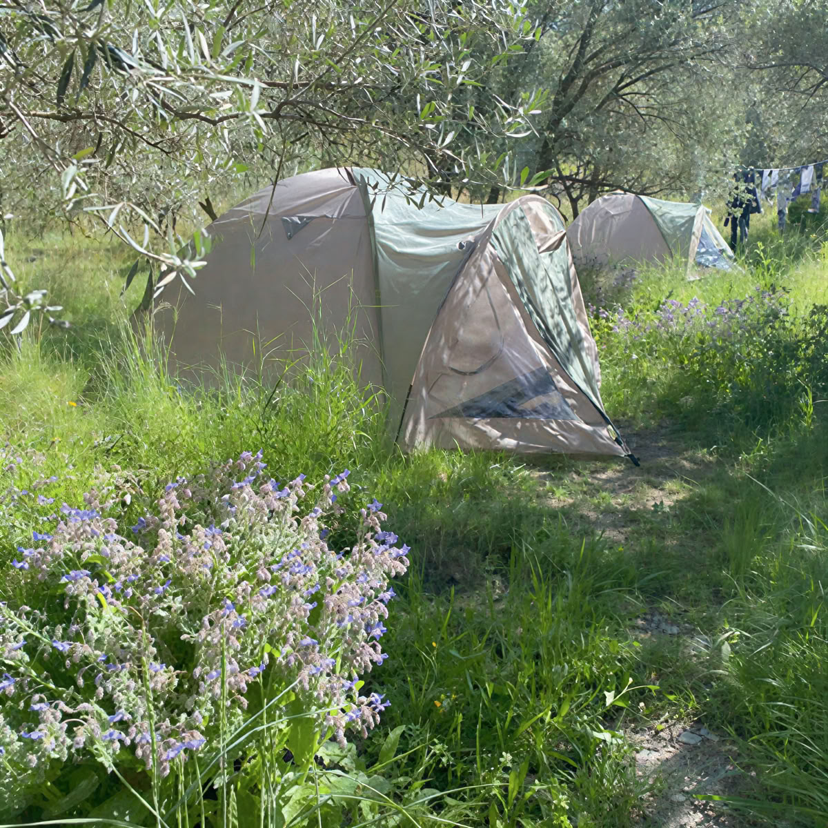 Prenatal Yoga Retreat - Spain