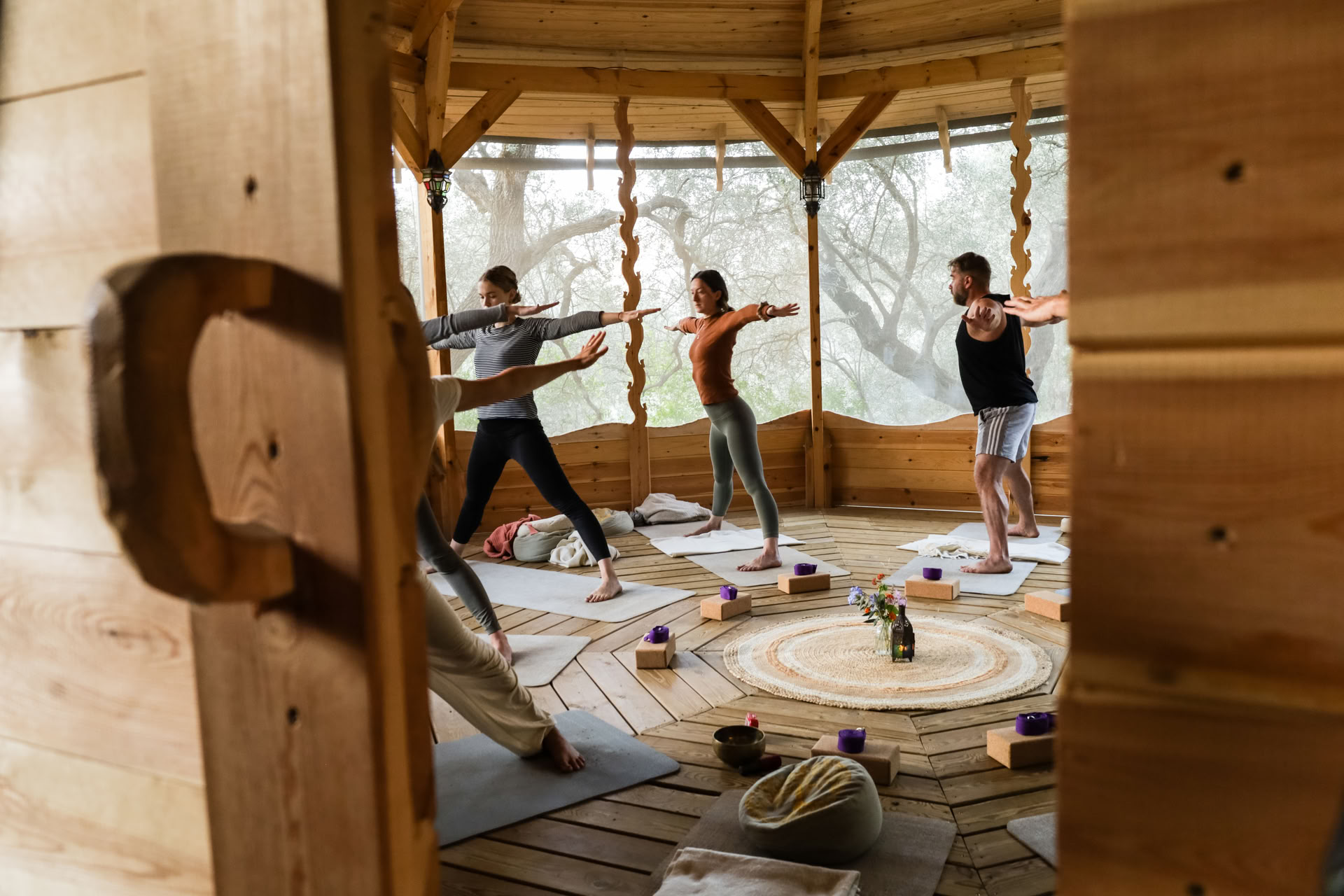Integral Hatha Yoga & Meditation Teacher Training
