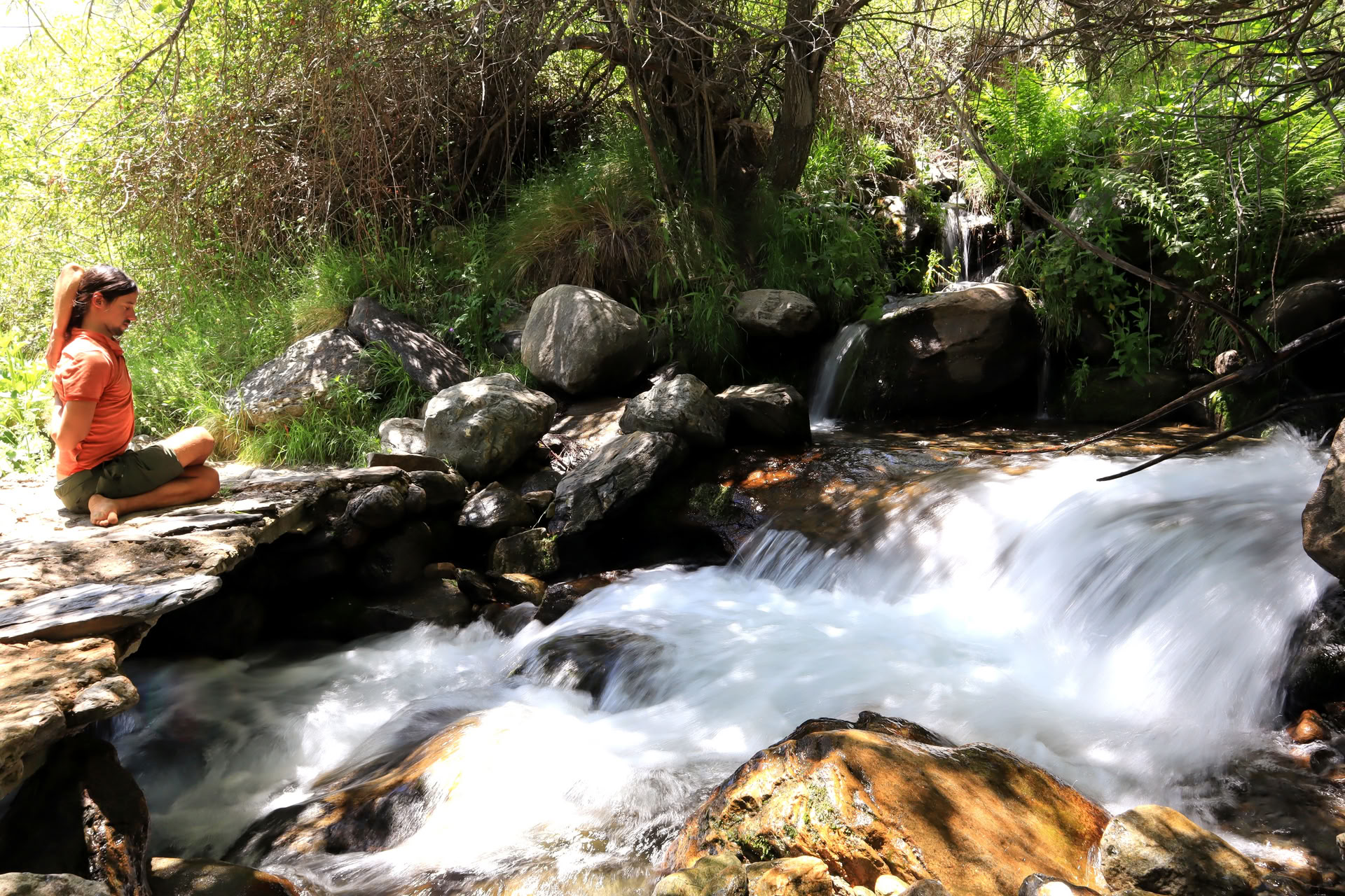 Integral Hatha Yoga & Meditation Teacher Training