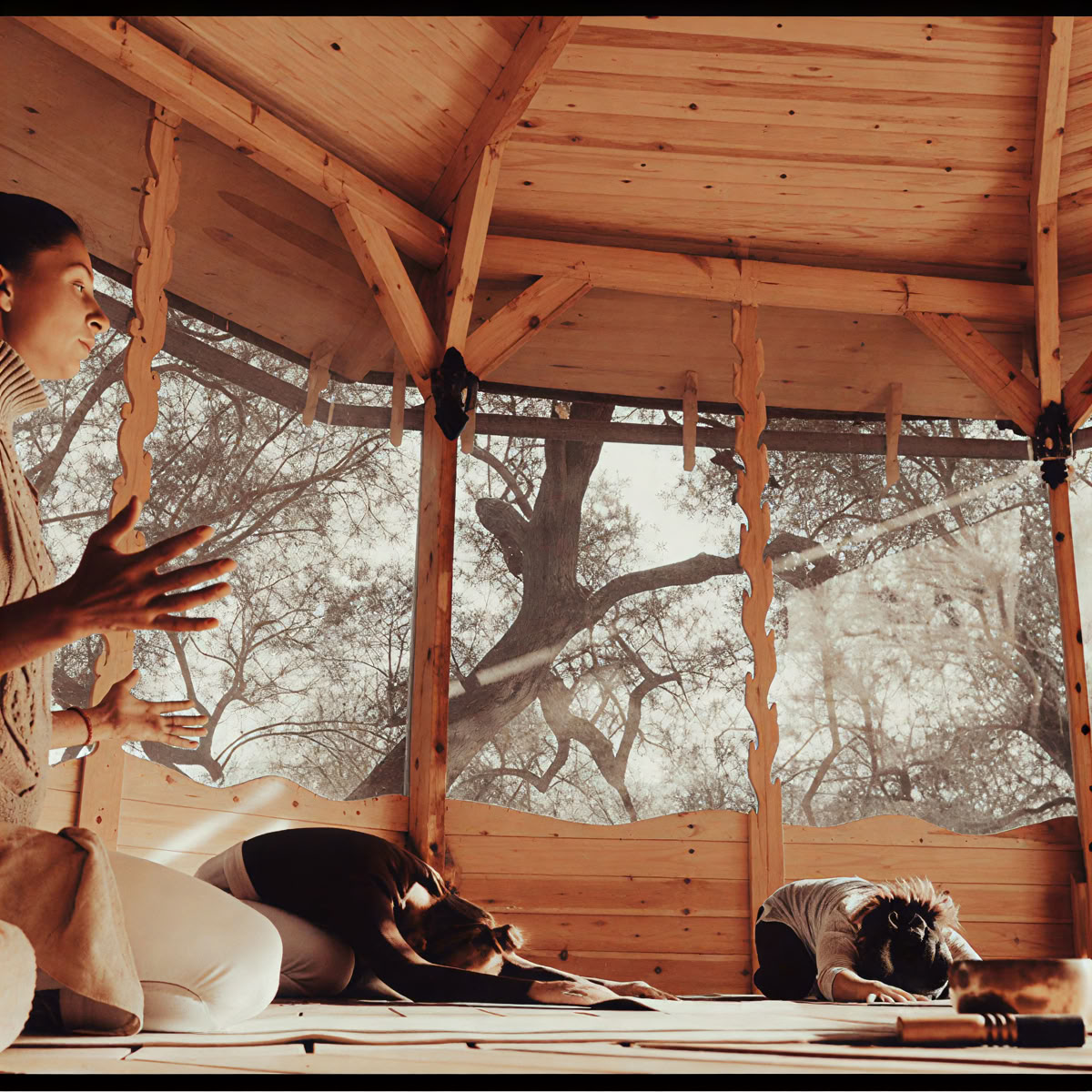 Breathwork and plantmedicine retreat