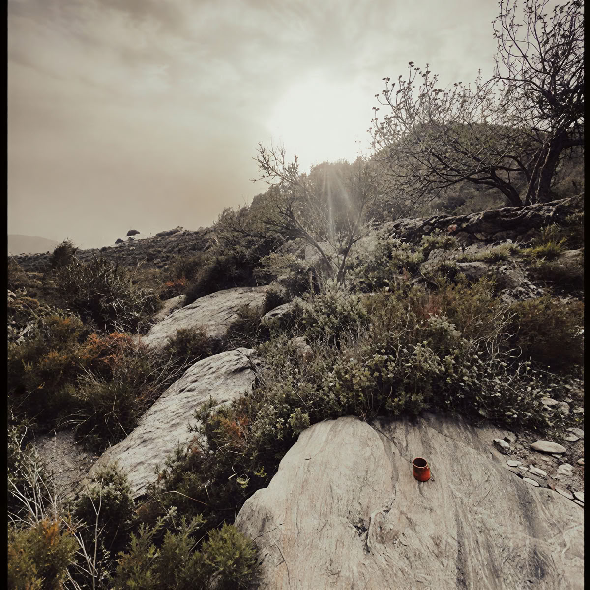Breathwork and plantmedicine retreat