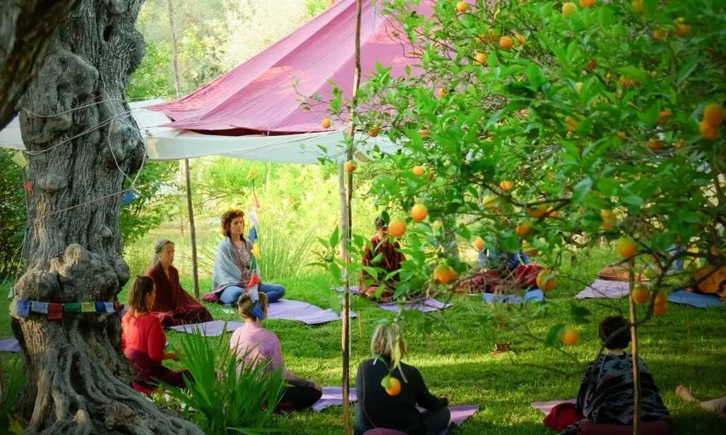 Back to the Source Yoga & Meditation Retreat