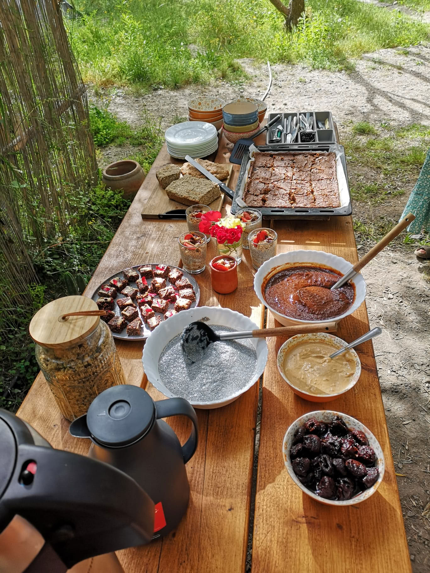Back to the Source Yoga & Meditation Retreat