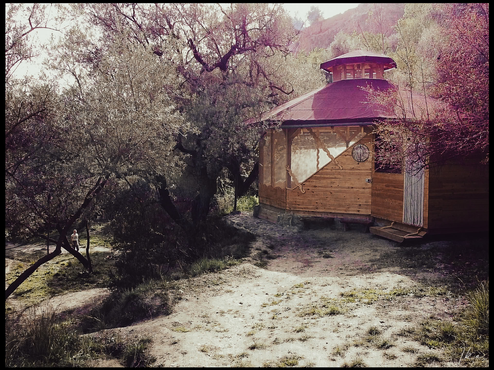 Heart of Yoga Retreat
