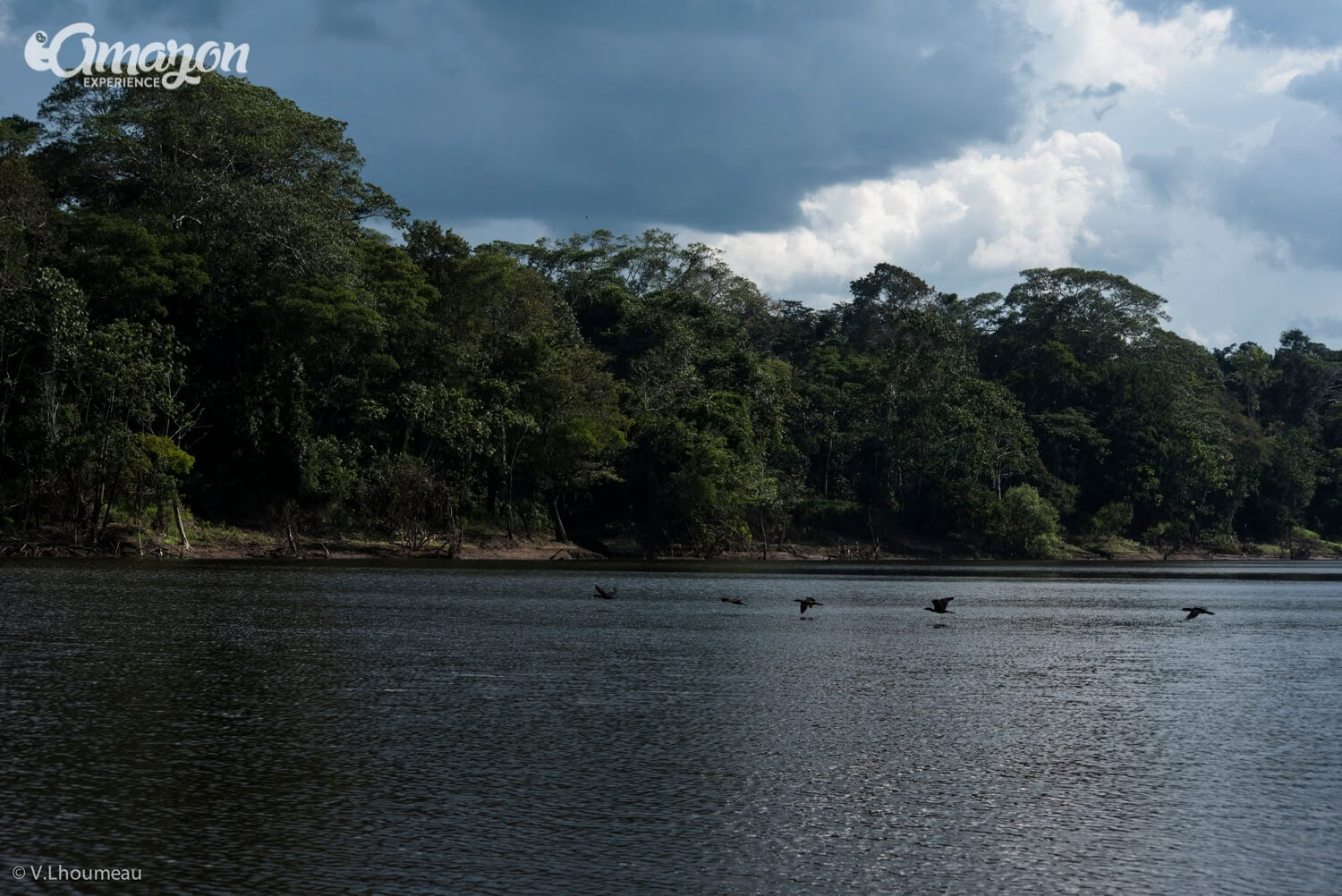 3 Days 2 Nights in Pacaya Samiria National Reserve