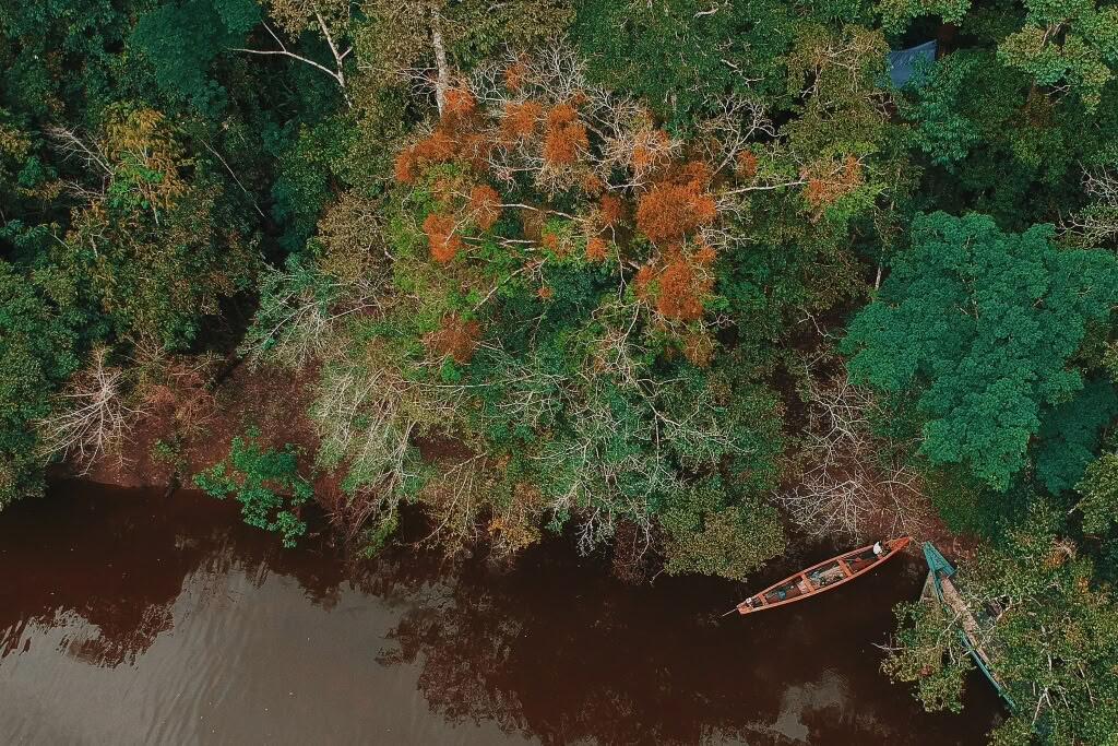 3 Days 2 Nights in Pacaya Samiria National Reserve