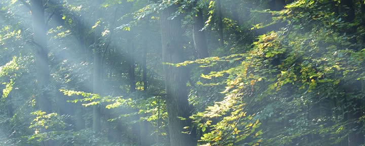 Earth Woman Naked Yoga and Meditation Retreat