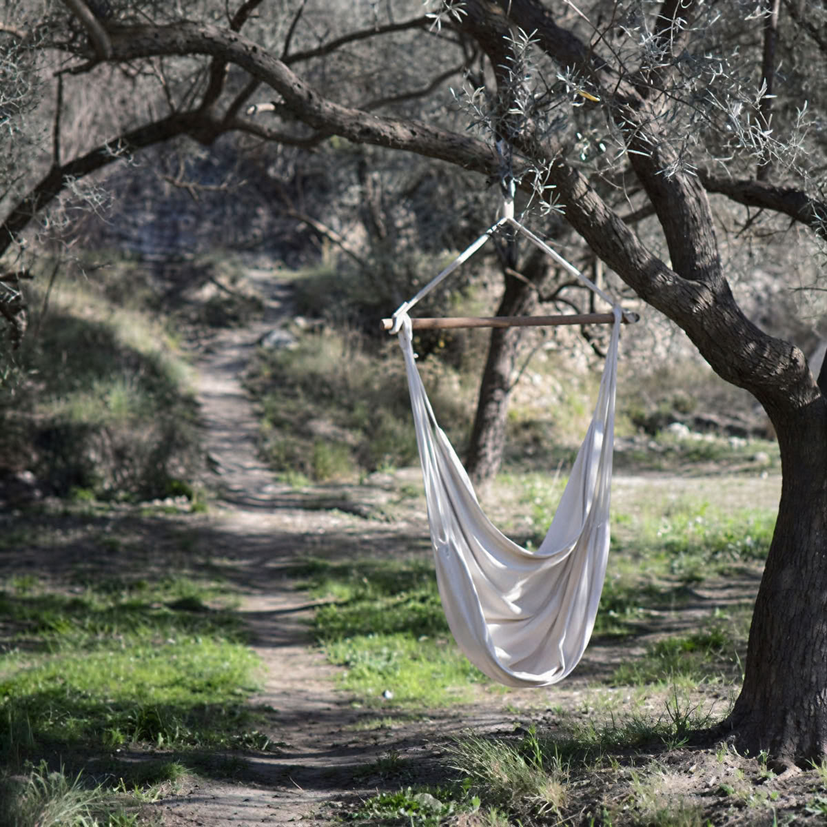 Plantmedicine & Breathwork retreat in the South of Spain