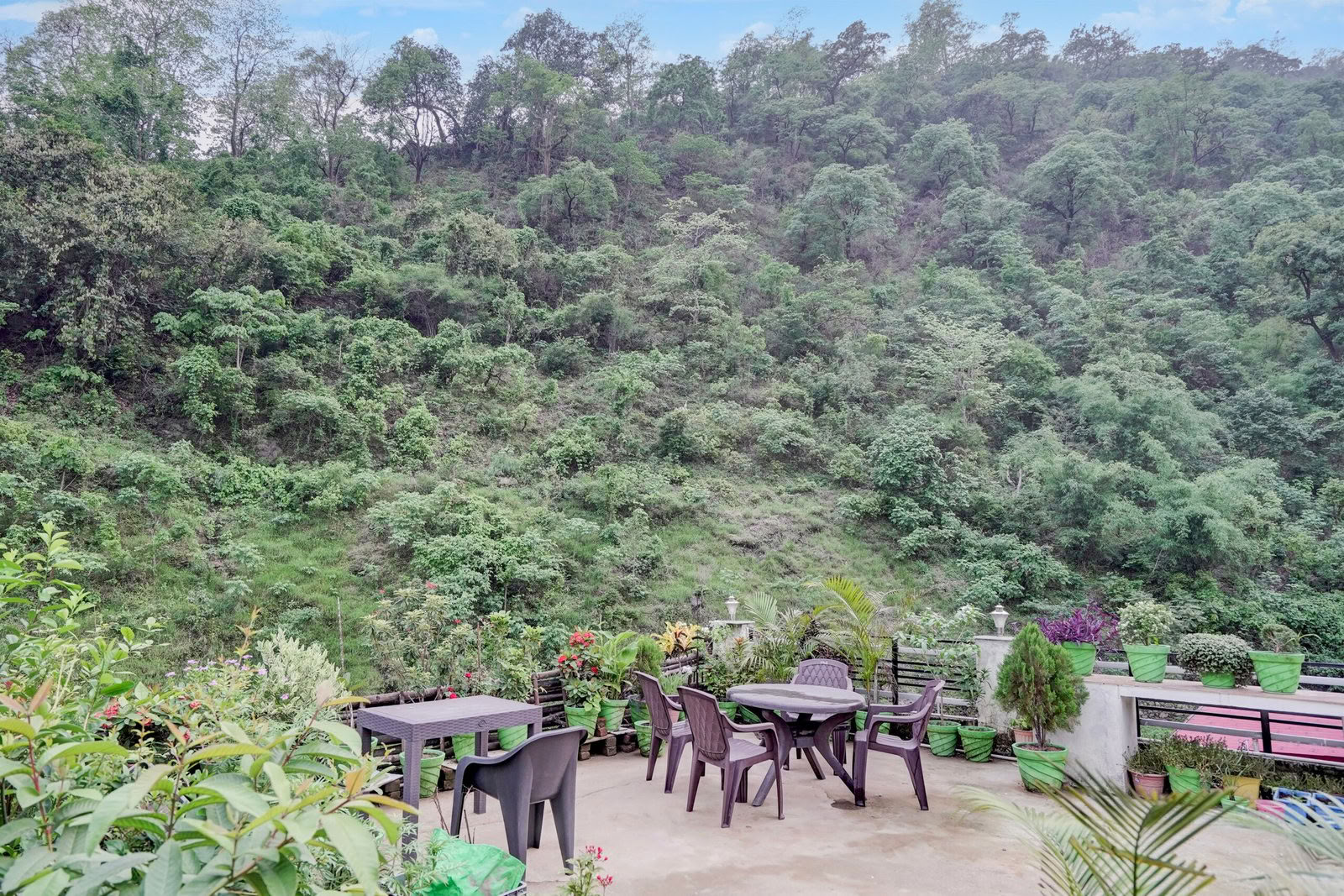 Detox Retreat in Rishikesh