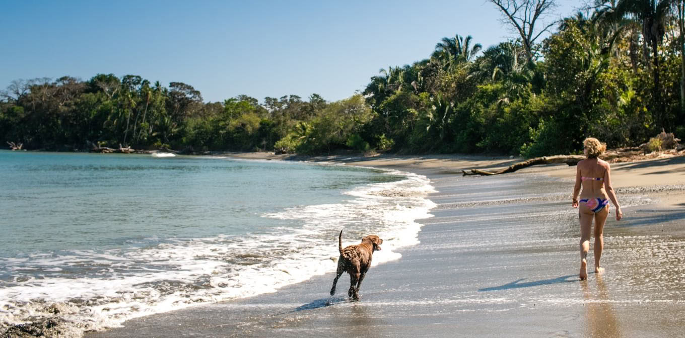 Re-Wilding: A Women's Retreat to Costa Rica with Shelia