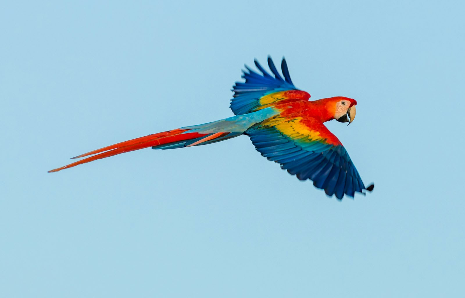 Yoga Retreat for Burnout: Reconnect and Recharge at Blue Osa Costa Rica