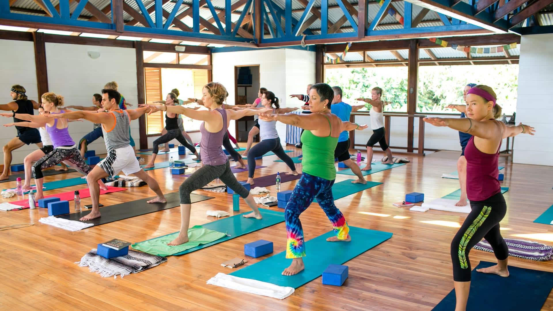 Soft Wisdom: Costa Rica Yoga and Meditation Retreat in 2027
