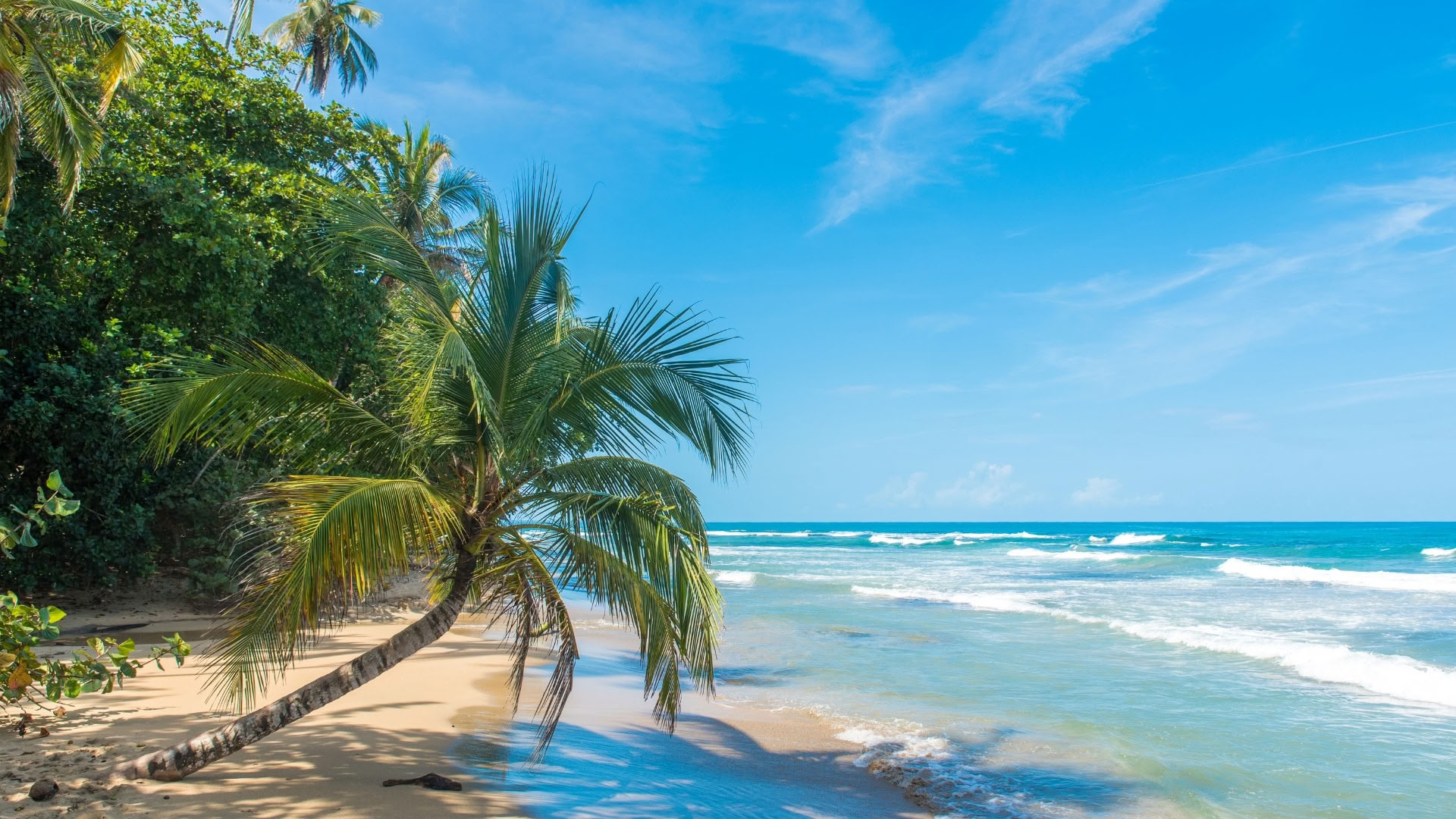 New Year's Yoga & Movement Retreat With Yoga Journeys