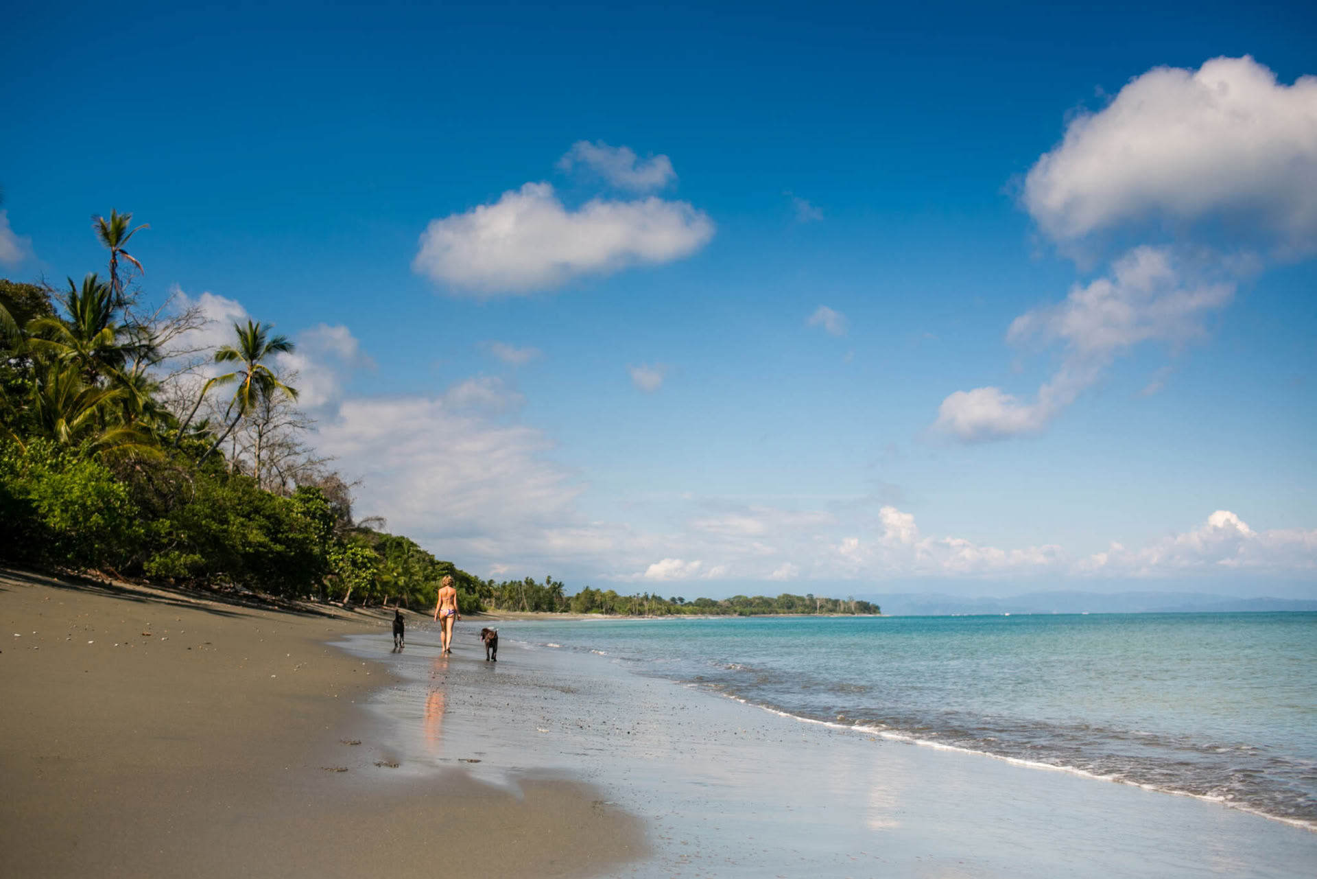 Mobility Awakening Retreat | Muscle Activation And Pain Free Yoga Retreat