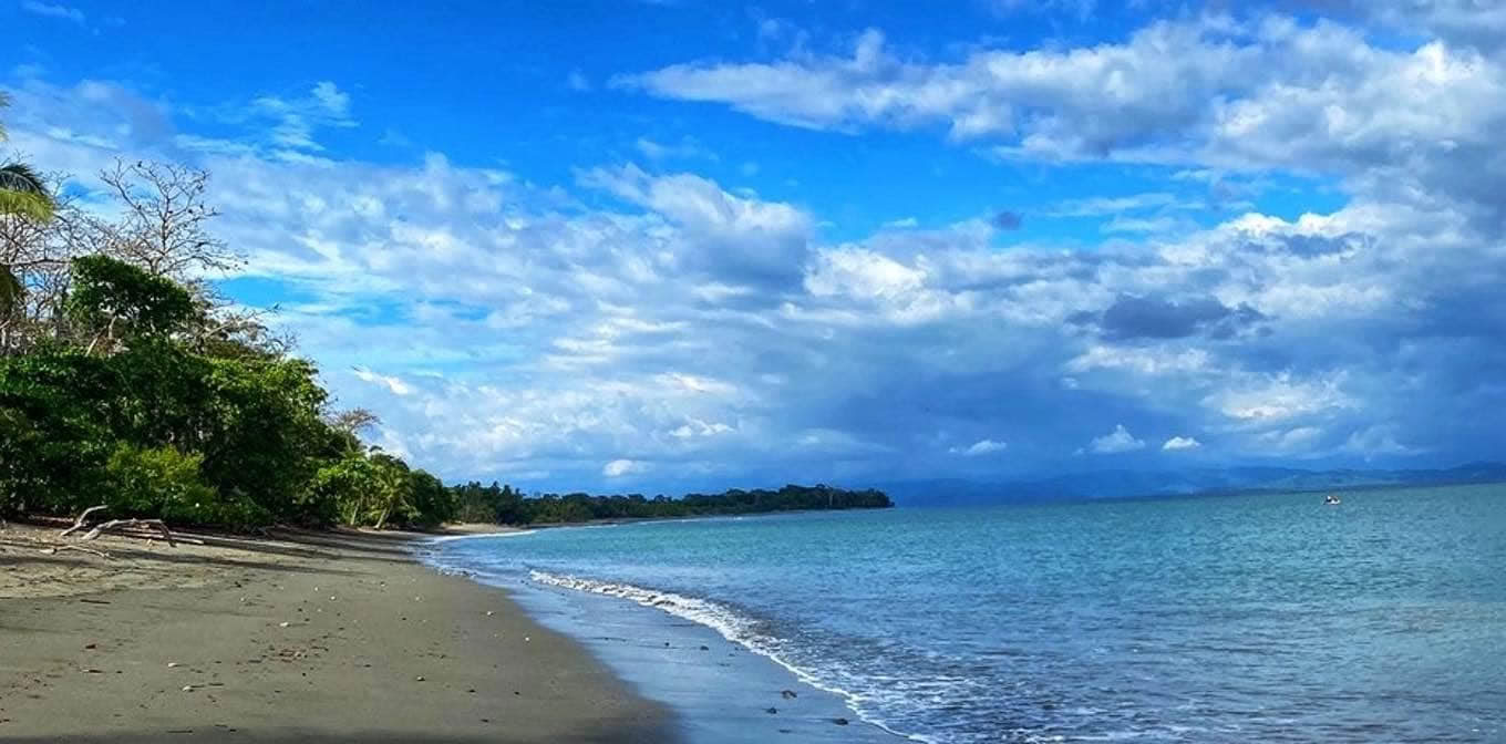 Mobility Awakening Retreat | Muscle Activation And Pain Free Yoga Retreat