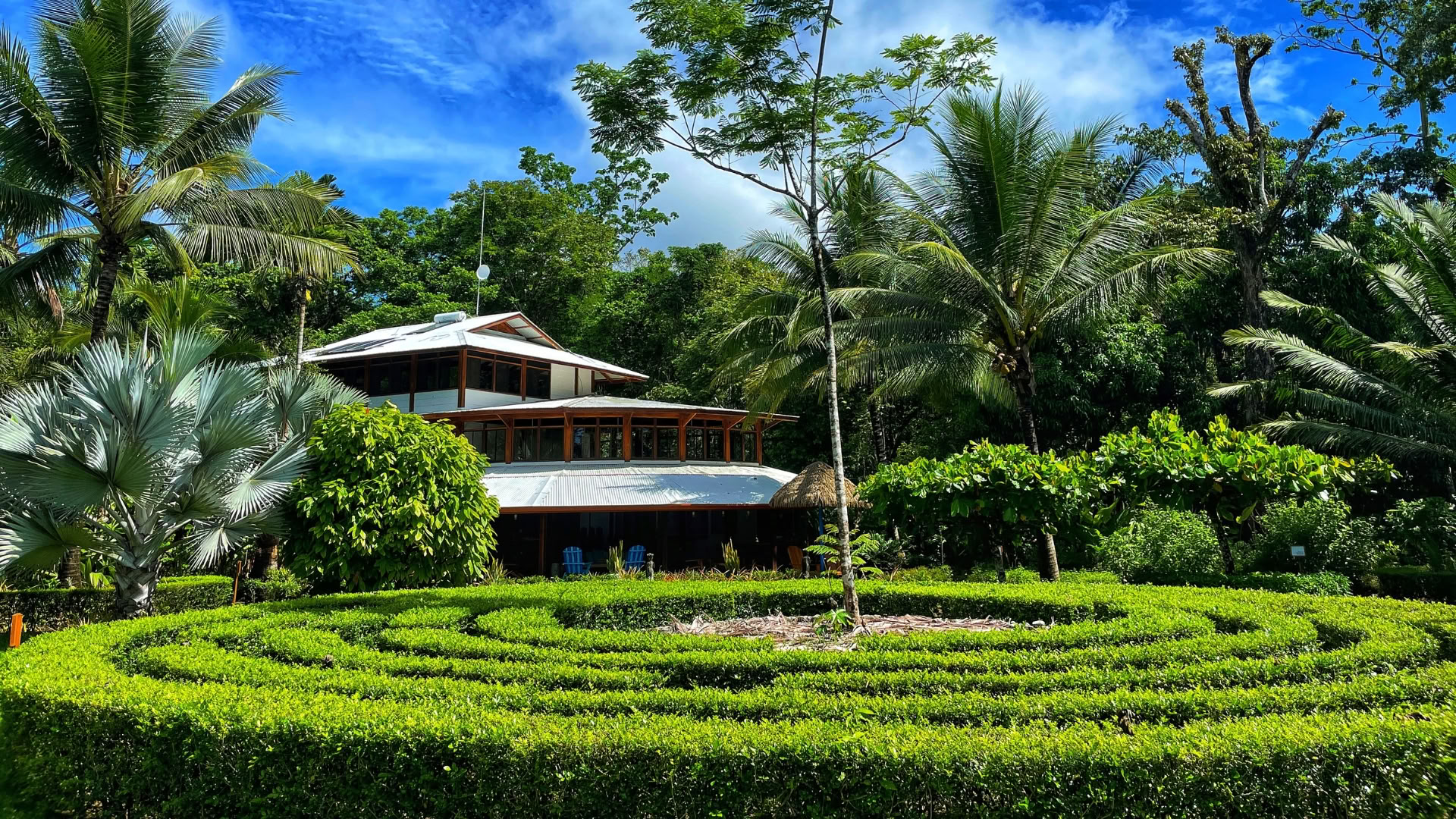 Psilocybin Retreat for Relationship Healing & Personal Transformation