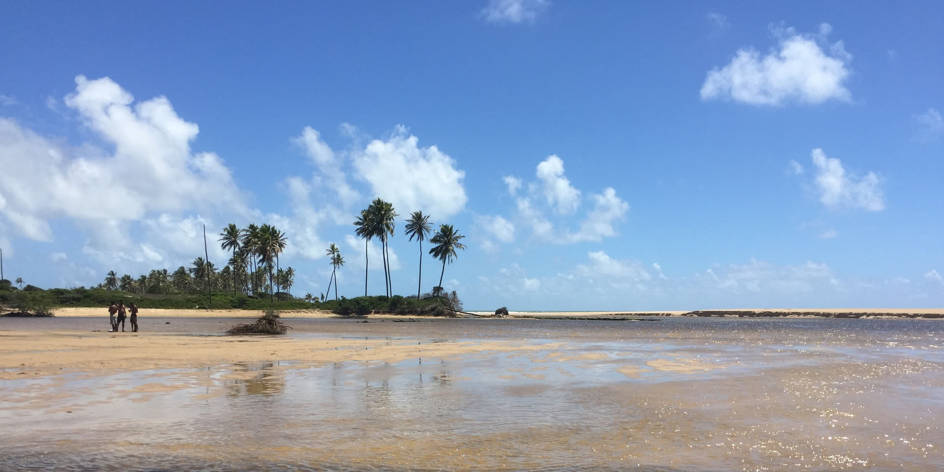 Circuit de la côte nord, Côte des cocotiers