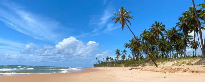 North Coast Circuit, Coconut Coast