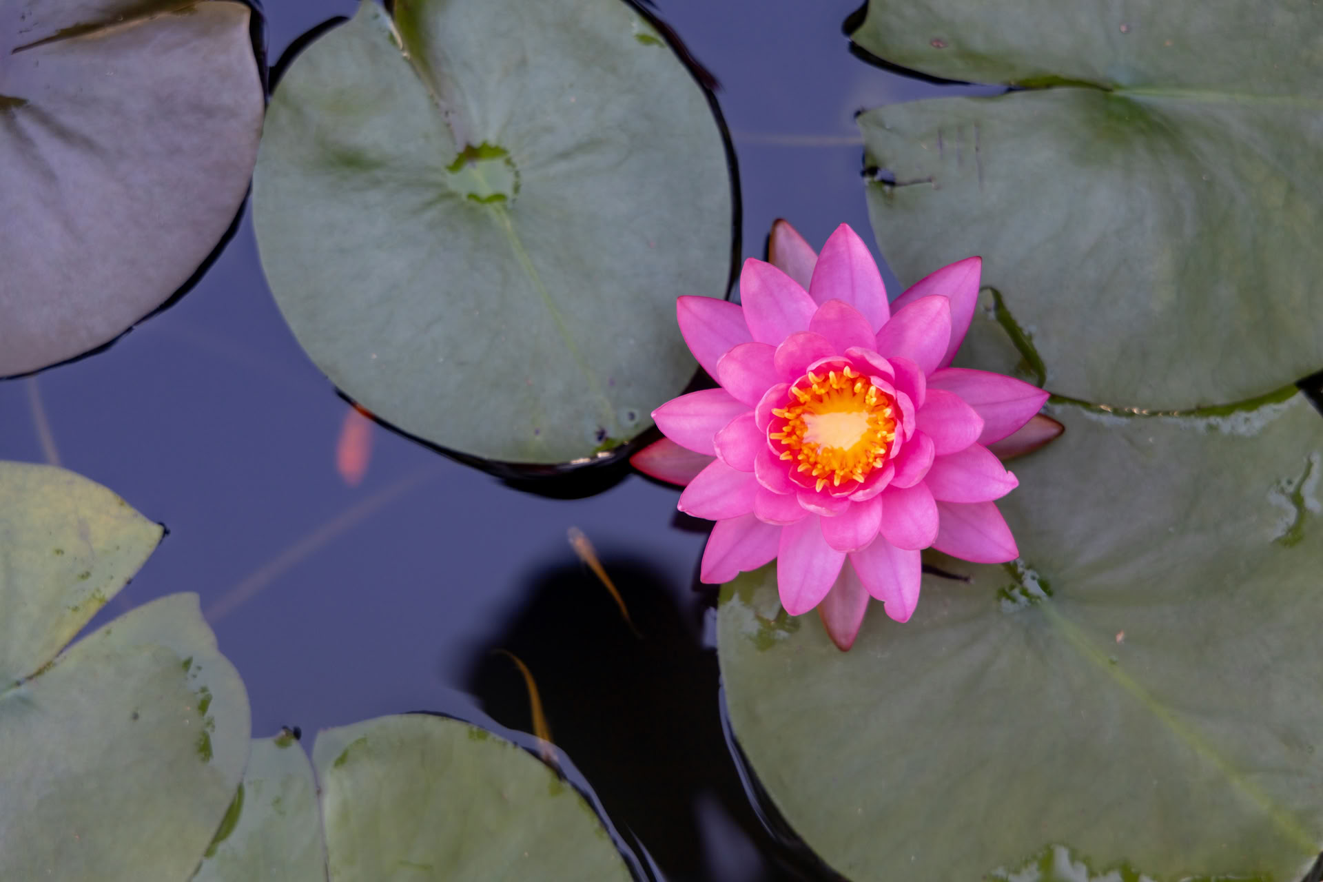 Bali Art Retreat