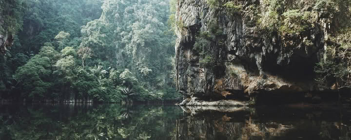 11-Day Ayahuasca Retreat