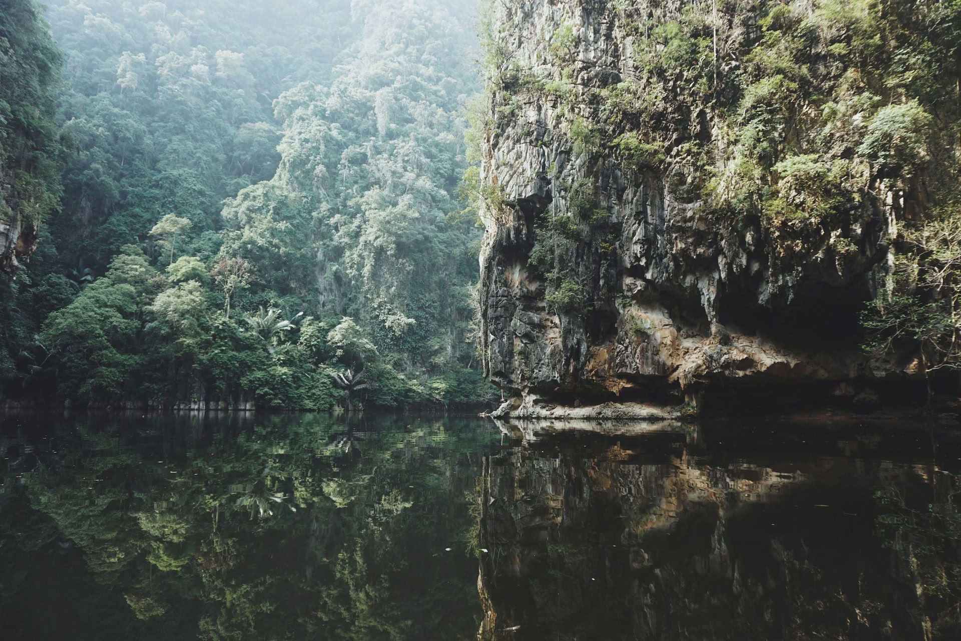 14-Day Iboga Healing Retreat
