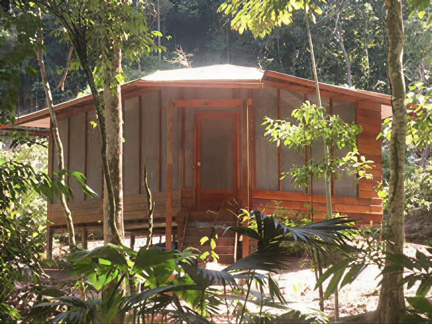 Ayahuasca Weekend Retreat