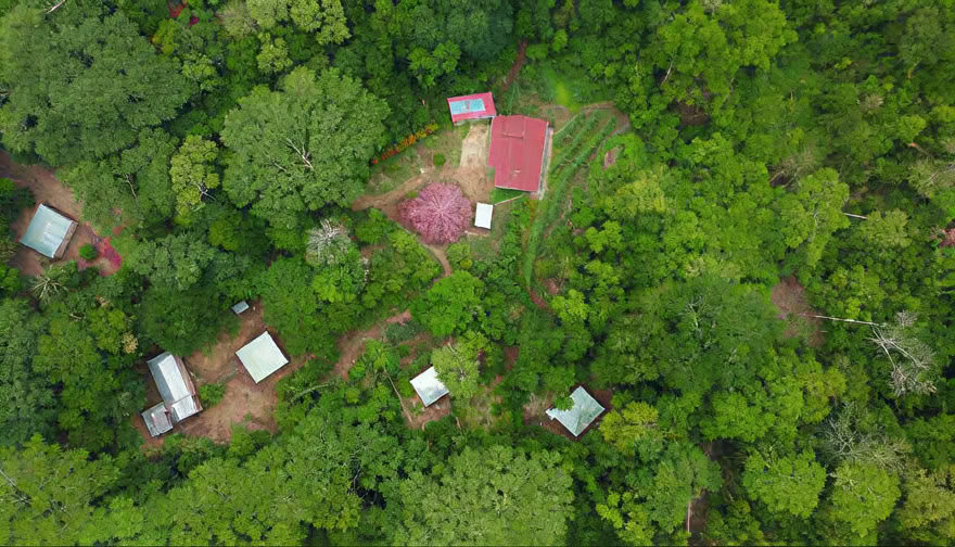 Ayahuasca Weekend Retreat