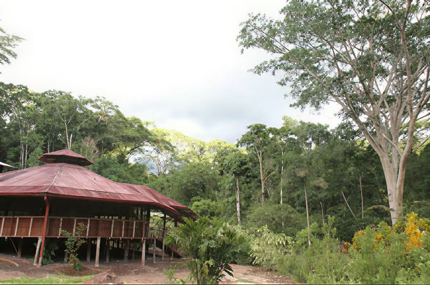 Ayahuasca Weekend Retreat