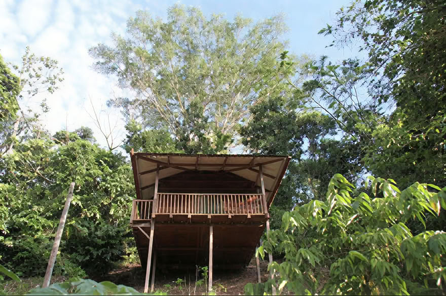 Ayahuasca Weekend Retreat